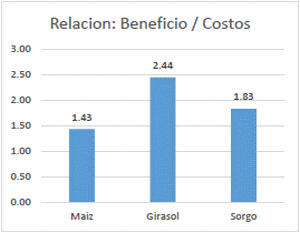 Analisis de la rentabilidad de la produccion de sorgo (sorghum bicolor l. Moench) y girasol (helianthus annuus l.) vs maiz blanco (zea mays) en la region del Valle de Guasave, Sinaloa - Image 3