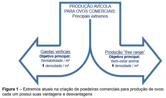 Estructura de la industria avícola de postura comercial y patologías respiratorias que la afectan - Image 1