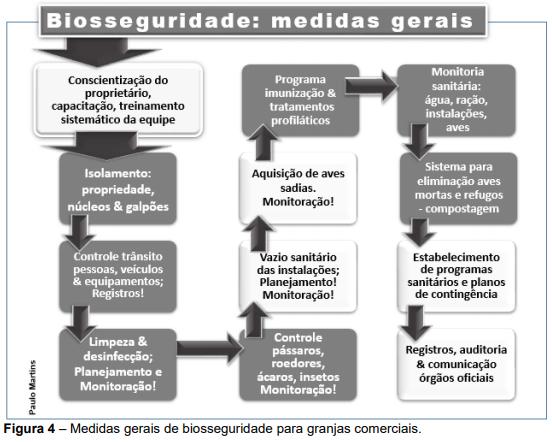 Estructura de la industria avícola de postura comercial y patologías respiratorias que la afectan - Image 4