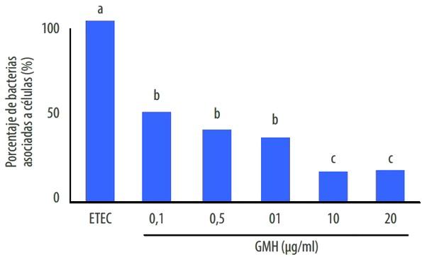 Efectos protectores de los ß-galactomananos vegetales sobre la función barrera intestinal - Image 3