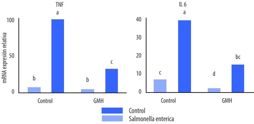Efectos protectores de los ß-galactomananos vegetales sobre la función barrera intestinal - Image 7