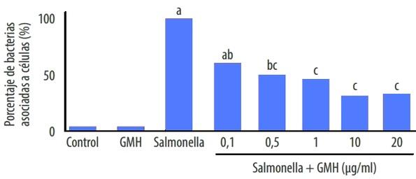 Efectos protectores de los ß-galactomananos vegetales sobre la función barrera intestinal - Image 2