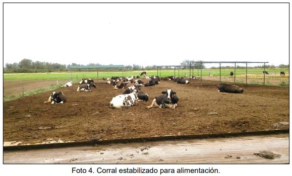 Evaluación bio-económica de un sistema lechero pastoril intensivo incorporando Tecnologías de Precisión, Ordeño Voluntario Automatizado (VMS® ) y las TIC - Image 11