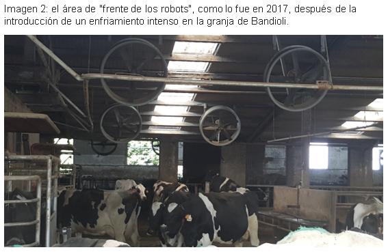 Enfriamiento de vacas en granjas robóticas El caso de la granja Bandioli, Italia - Image 5