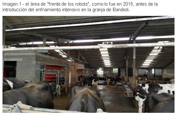 Enfriamiento de vacas en granjas robóticas El caso de la granja Bandioli, Italia - Image 4