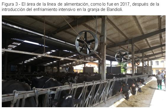 Enfriamiento de vacas en granjas robóticas El caso de la granja Bandioli, Italia - Image 6