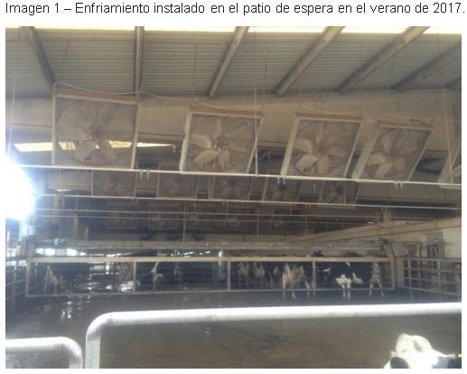 Enfriamiento de vacas Ozlem dairy farm, Turquía - Image 5