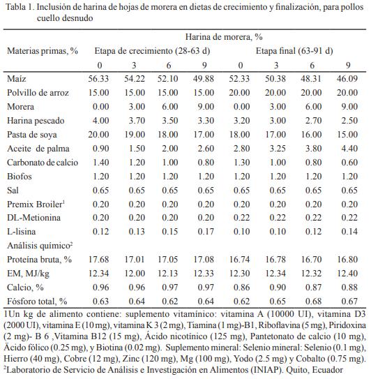Inclusión de harina de hojas de Morus alba: su efecto en la retención aparente de nutrientes, comportamiento productivo y calidad de la canal de pollos cuello desnudo - Image 1