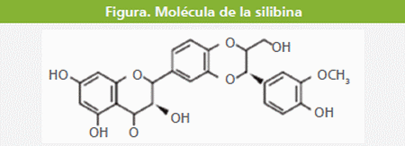 Silimarina: Una arma eficaz contra los desafíos infecciosos y metabólicos - Image 12