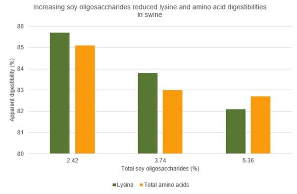 Evaluación de ingredientes: oligosacáridos de la soja en el cerdo - Image 2