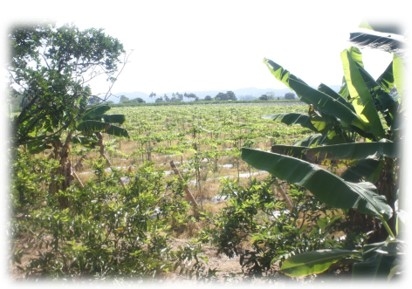 Las cuencas hidrográficas de la América Latina y sus problemáticas a luz de las situaciones actuales y sus graves impactos a futuro, implica la conformación de grupos de análisis ante los efectos del cambio climático que se avecina - Image 8