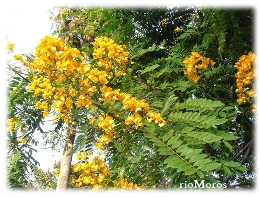 Las cuencas hidrográficas de la América Latina y sus problemáticas a luz de las situaciones actuales y sus graves impactos a futuro, implica la conformación de grupos de análisis ante los efectos del cambio climático que se avecina - Image 12