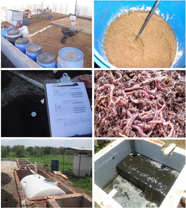 Ensilado de cerdaza, una oportunidad para el manejo de la bioseguridad y el microbismo en granjas porcícolas - Image 1