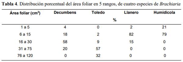 Determinación del área foliar en cuatro especies de Brachiaria en el Piedemonte llanero de Colombia - Image 8