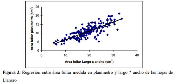 Determinación del área foliar en cuatro especies de Brachiaria en el Piedemonte llanero de Colombia - Image 5