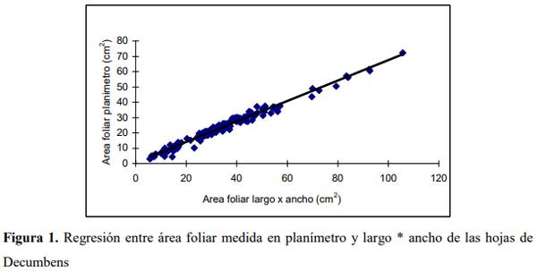 Determinación del área foliar en cuatro especies de Brachiaria en el Piedemonte llanero de Colombia - Image 3