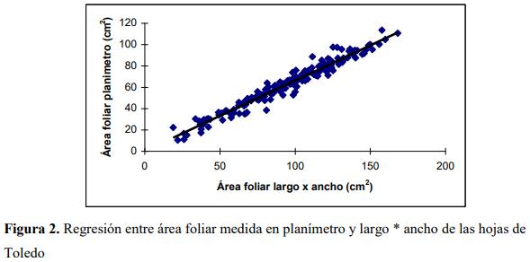 Determinación del área foliar en cuatro especies de Brachiaria en el Piedemonte llanero de Colombia - Image 4