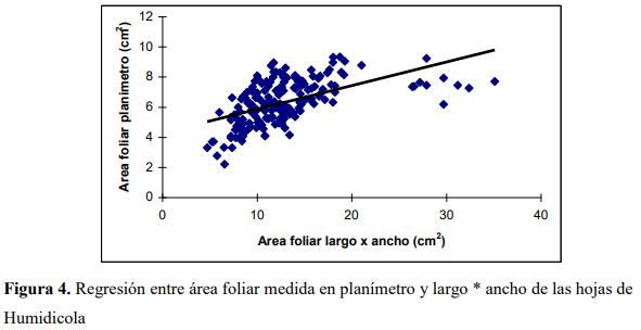 Determinación del área foliar en cuatro especies de Brachiaria en el Piedemonte llanero de Colombia - Image 6