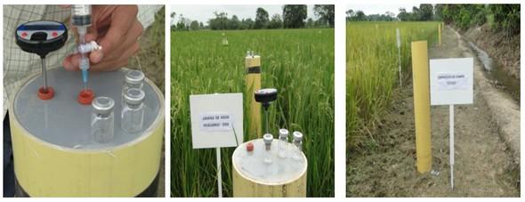 El manejo del cultivo del arroz y las emisiones de gases de fecto de invernadero (GEI) - Image 6