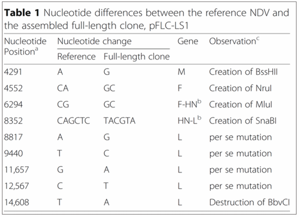 Desarrollo de un nuevo test de neutralización para la enfermedad de newcastle (NDV) basado en un NDV recombinante que expresa la proteína verde - Image 2