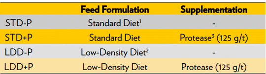 Efecto de una proteasa en el rendimiento y la salud intestinal de pollo de engorde alimentado con una dieta estándar o una dieta de baja densidad - Image 1