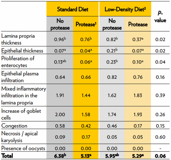 Efecto de una proteasa en el rendimiento y la salud intestinal de pollo de engorde alimentado con una dieta estándar o una dieta de baja densidad - Image 4