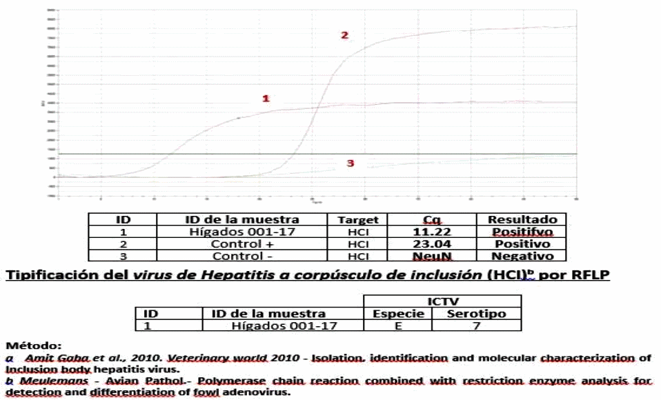Evaluación diagnostica de situaciones clínicas de inmunosupresión en pollos de engorde: Hepatitis por Cuerpos de Inclusión y posibles enfermedades coadyuvantes - Image 9