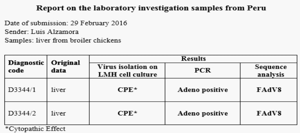 Evaluación diagnostica de situaciones clínicas de inmunosupresión en pollos de engorde: Hepatitis por Cuerpos de Inclusión y posibles enfermedades coadyuvantes - Image 11