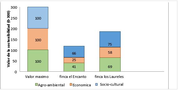 Complejidad y Sostenibilidad de dos agroecosistemas con Cacao - Image 7