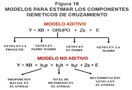 El Rol de la Genética y Selección como Herramientas para Incrementar la Producción de Leche en Países de América Latina - Image 17