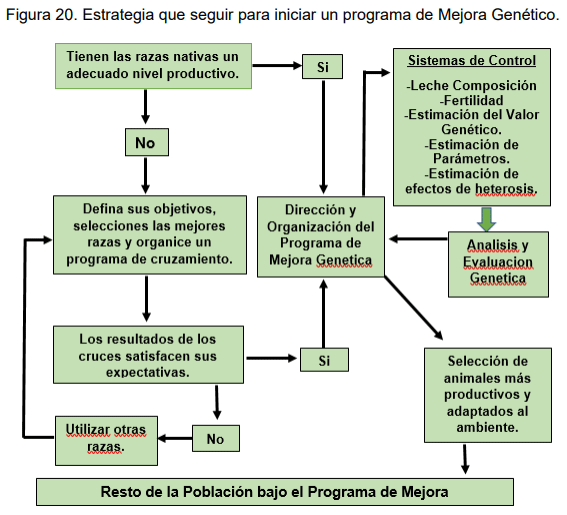 El Rol de la Genética y Selección como Herramientas para Incrementar la Producción de Leche en Países de América Latina - Image 21