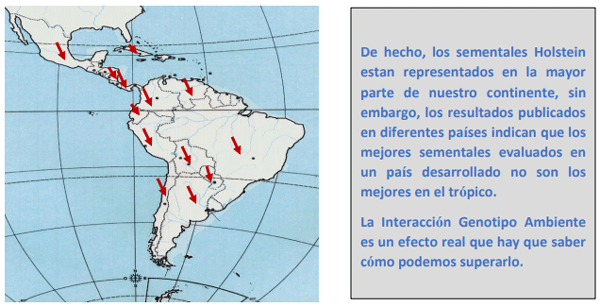 El Rol de la Genética y Selección como Herramientas para Incrementar la Producción de Leche en Países de América Latina - Image 4