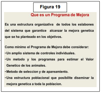 El Rol de la Genética y Selección como Herramientas para Incrementar la Producción de Leche en Países de América Latina - Image 20