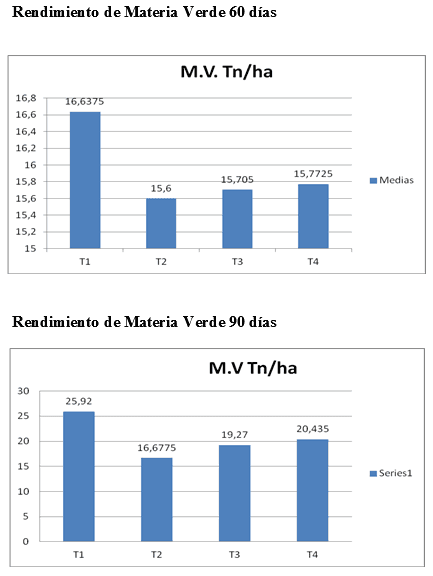 Evaluación de la producción forrajera de Gramíneas del Género Panicum en tres frecuencias de corte en el distrito de Minga Guazú, Alto Paraná-Paraguay - Image 21