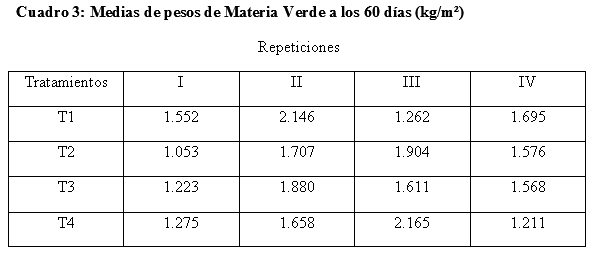 Evaluación de la producción forrajera de Gramíneas del Género Panicum en tres frecuencias de corte en el distrito de Minga Guazú, Alto Paraná-Paraguay - Image 9
