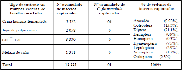 Estado fitosanitario en la producción de cacao (theobroma cacao l.) en la región de Huánuco (Perú): incremento del impacto de carmenta foraseminis eichlin - Image 2