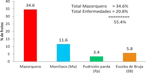 Estado fitosanitario en la producción de cacao (theobroma cacao l.) en la región de Huánuco (Perú): incremento del impacto de carmenta foraseminis eichlin - Image 1