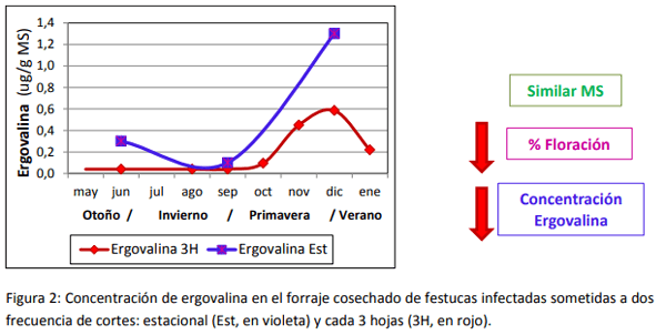 Efecto del manejo sobre la concentración de ergoalcaloide en festuca toxica - Image 2