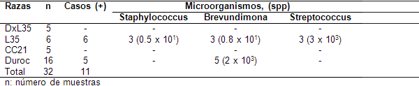 Influencia de la contaminación bacteriana del semen de verraco en la microflora vaginal de las cerdas - Image 1