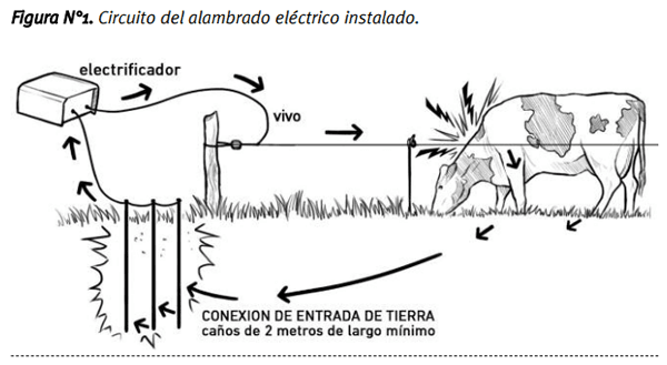 Pautas técnicas para la correcta instalación y uso de los alambrados eléctricos - Image 5