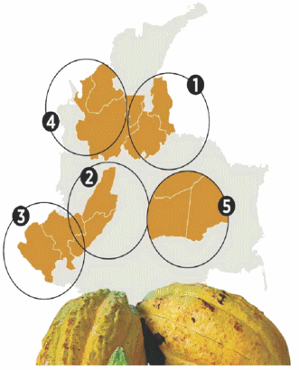 Cacao: Cadmio y Biorremediacion - Image 1