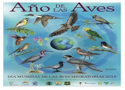 Aves migratorias: Del Ártico hacia todos los continentes - Image 6