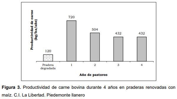 Efecto de la renovación de praderas con maíz sobre la productividad de carne bovina en el Piedemonte de los Llanos Orientales de Colombia - Image 7