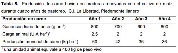 Efecto de la renovación de praderas con maíz sobre la productividad de carne bovina en el Piedemonte de los Llanos Orientales de Colombia - Image 6