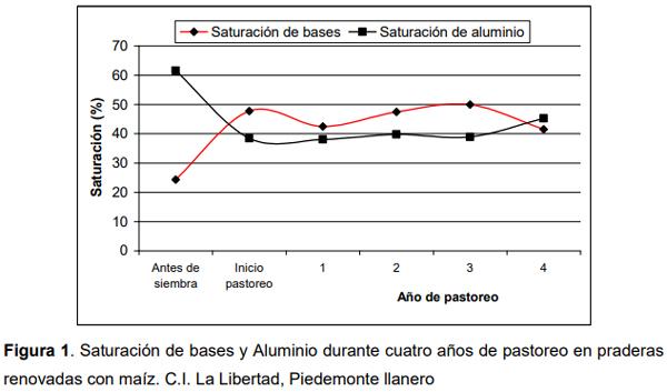 Efecto de la renovación de praderas con maíz sobre la productividad de carne bovina en el Piedemonte de los Llanos Orientales de Colombia - Image 4