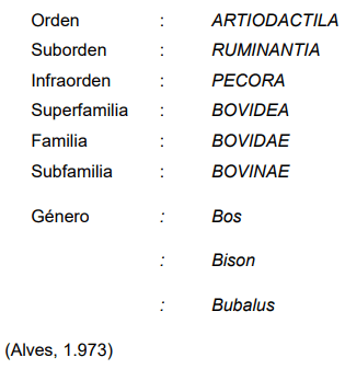 Selección de vientres bovinos elite en el hato criollo saavedreño de la estacion experimental agricola de saavedra - Image 1