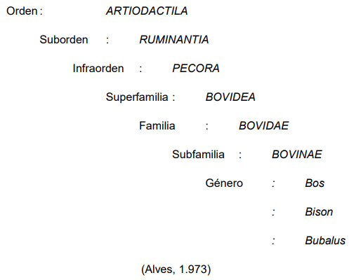 Caracterización Morfológica y Faneróptica del Bovino Criollo Saavedreño - Image 1