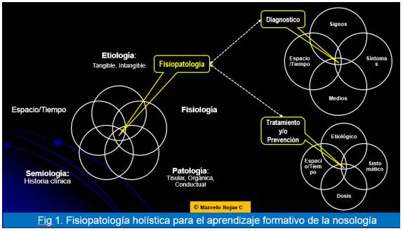 La Fisiopatología: Modulo multidisciplinar básico en el Plan de estudios de la competencia formativa veterinaria - Image 1