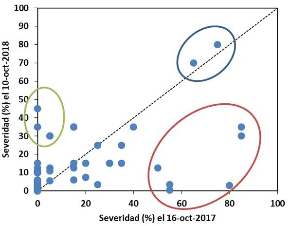 Evaluación temprana de la severidad a la roya amarilla en la RET-INASE de INTA Balcarce durante la campaña 2018/19 - Image 8