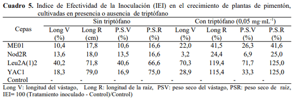 Efecto de bacterias rizosféricas en la germinación y crecimiento del Pimentón Capsicum Annuum l. Var. Cacique gigante - Image 9